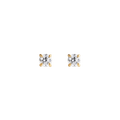 Mirelle Solitaire Stud Earrings Gold
