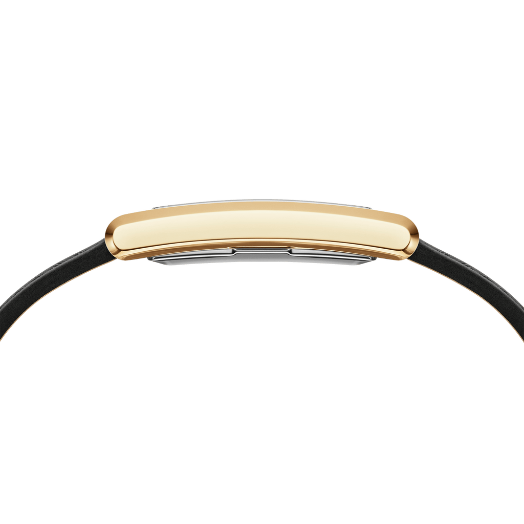 Bound Black Crocodile Gold