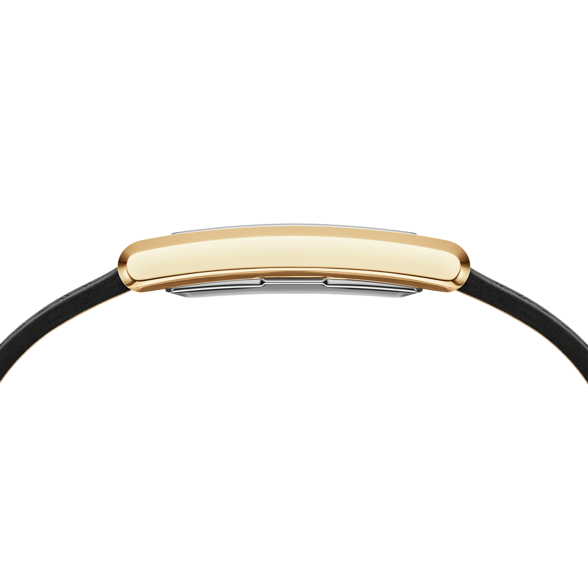 Bound Black Crocodile Gold
