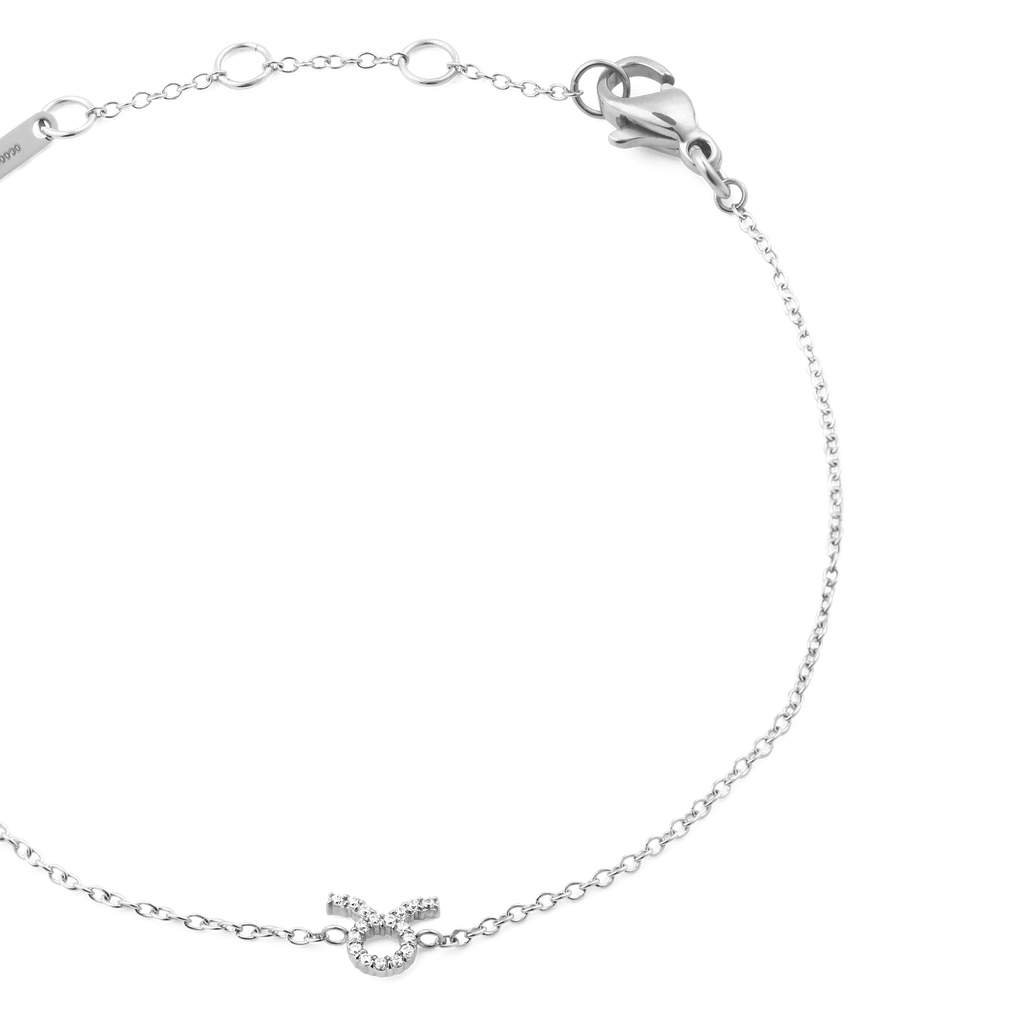 Crystal Zodiac Chain Bracelet Silver